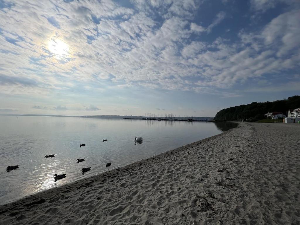'Kapitaenslounge' Vollsanierte Fewo Mit Blick Auf Die Flensburger Foerde Harrislee Exteriér fotografie