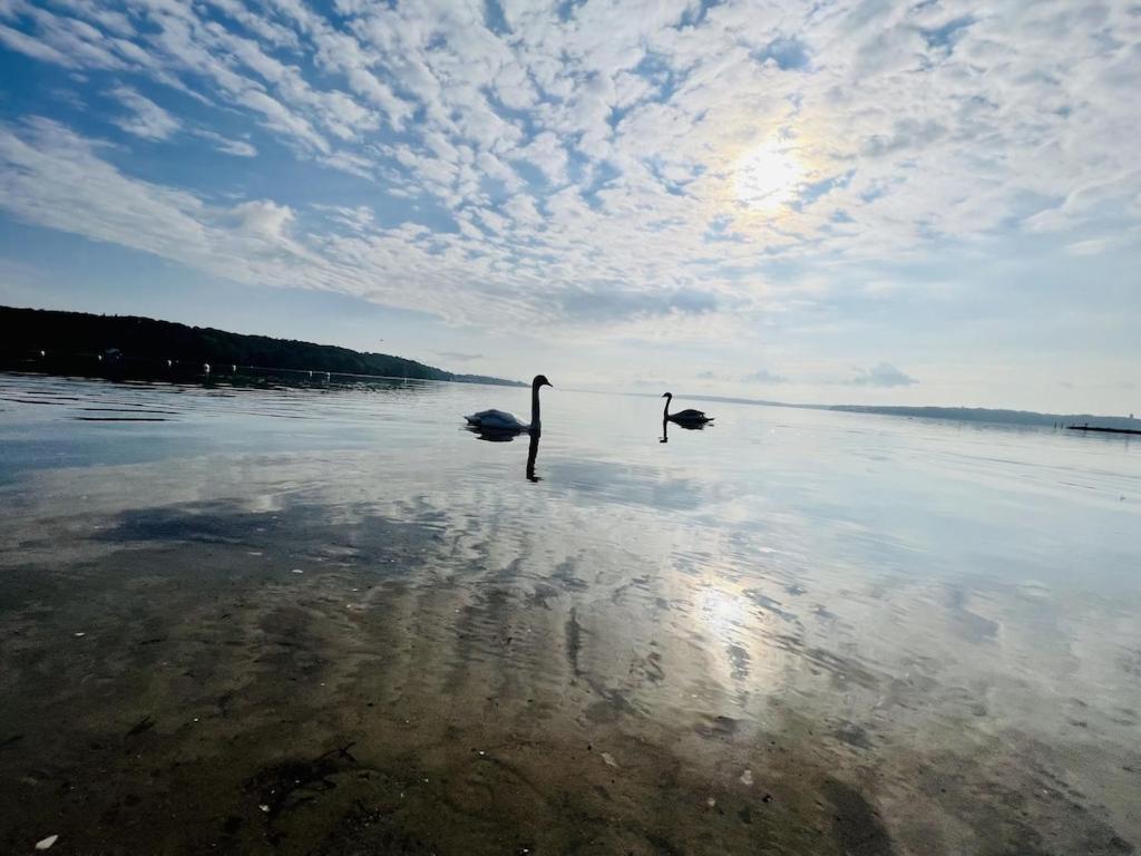 'Kapitaenslounge' Vollsanierte Fewo Mit Blick Auf Die Flensburger Foerde Harrislee Exteriér fotografie